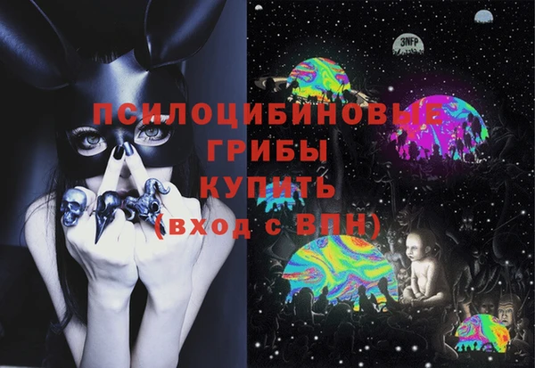 молекула духа Беломорск
