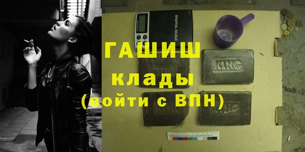 индика Белокуриха