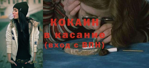 индика Белокуриха