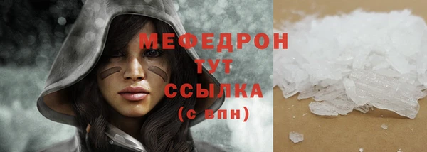 индика Белокуриха