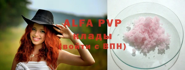 индика Белокуриха