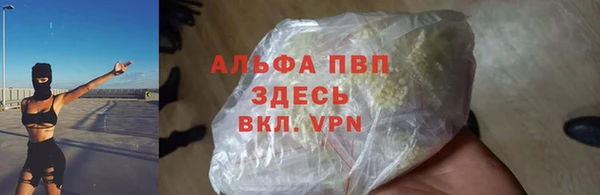 индика Белокуриха