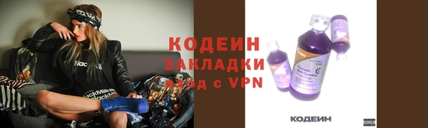индика Белокуриха