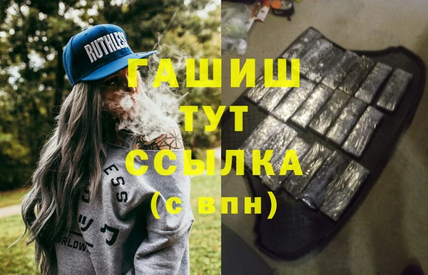 индика Белокуриха