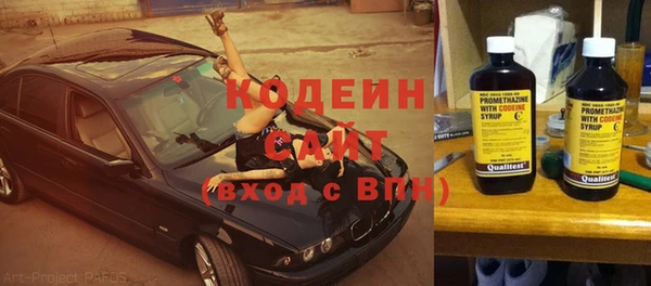 индика Белокуриха